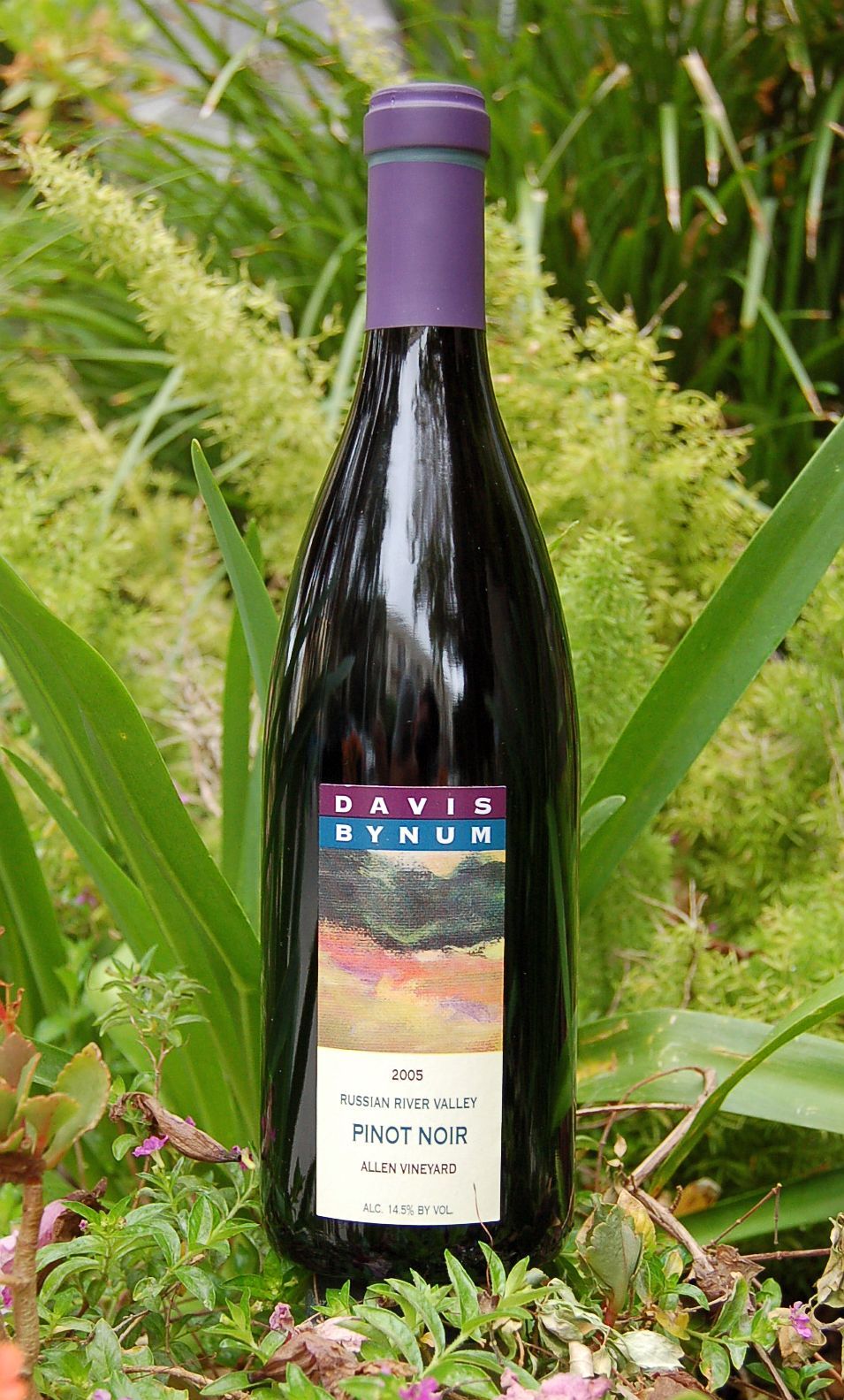 Davis Bynum Winery 2005 Russian River Valley Pinot Noir 750ml Wine Bottle