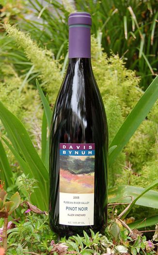 Davis Bynum Winery 2005 Russian River Valley Pinot Noir 750ml Wine Bottle