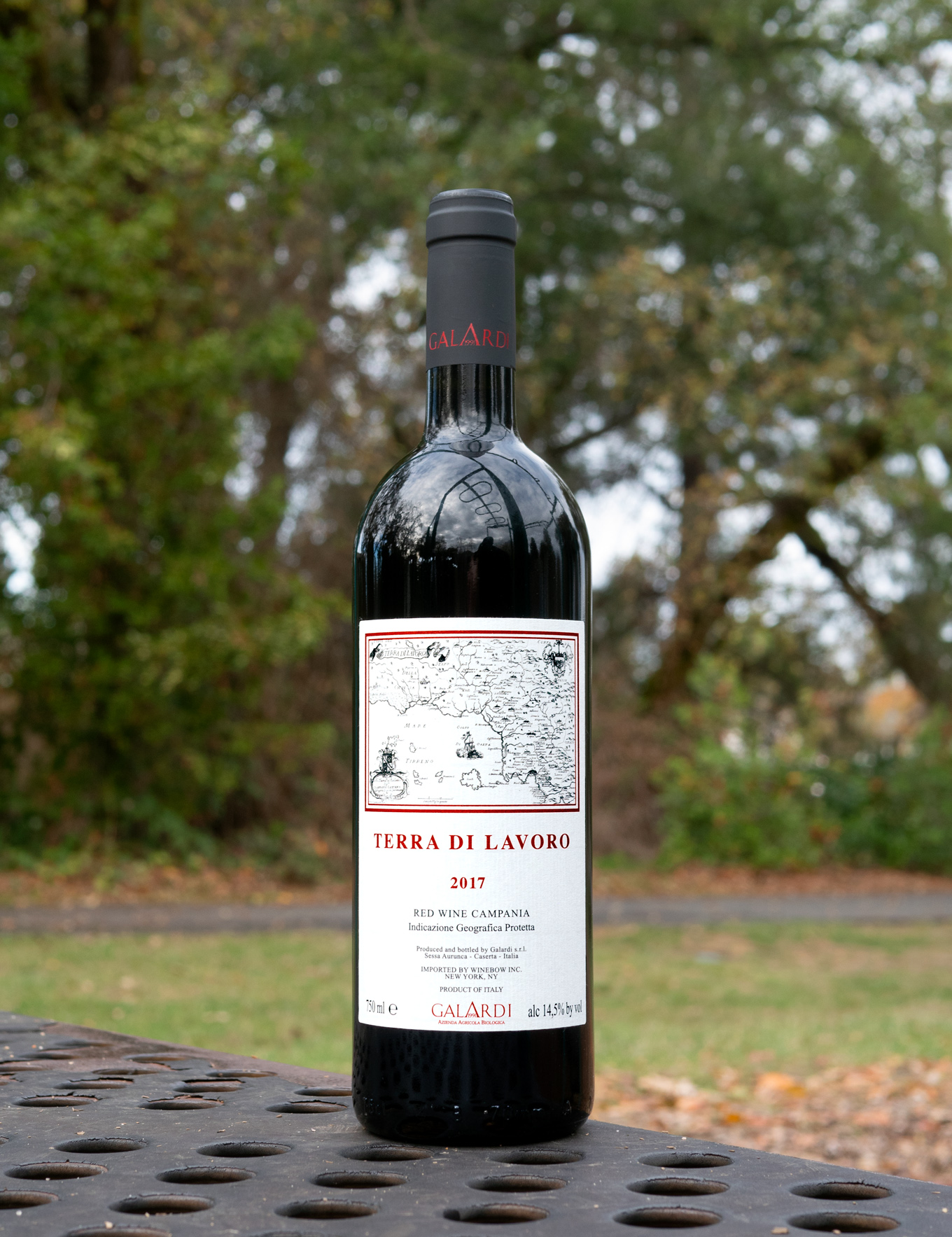 Galardi 2017 'Terra di Lavoro' Roccamonfina IGT 750ml Wine Bottle