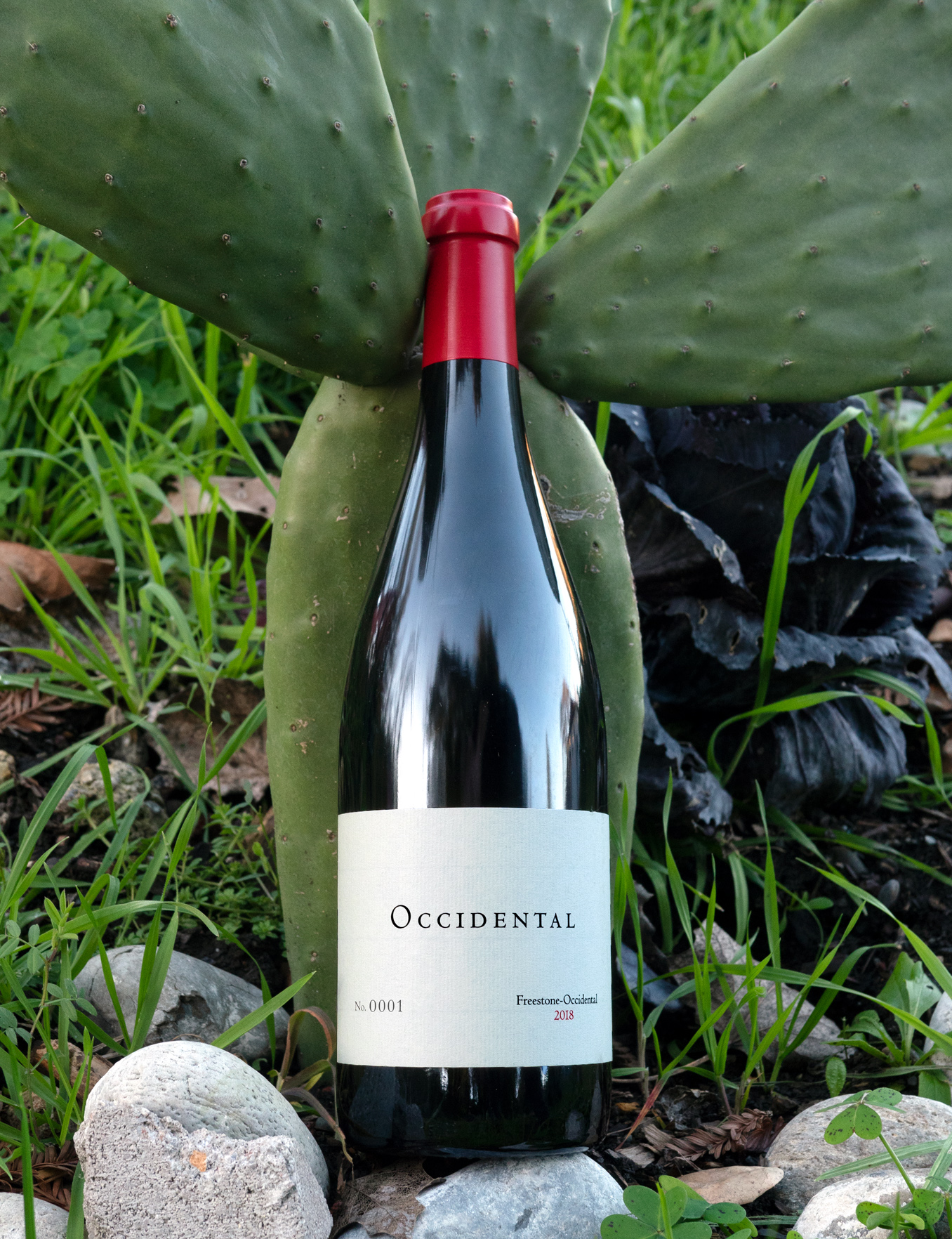 Occidental 2018 'Freestone-Occidental' Sonoma Coast Pinot Noir 750ml Wine Bottle