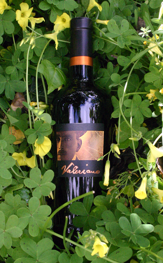 Jacuzzi Family Vineyards 2005 Valeriano 750ml Wine Bottle