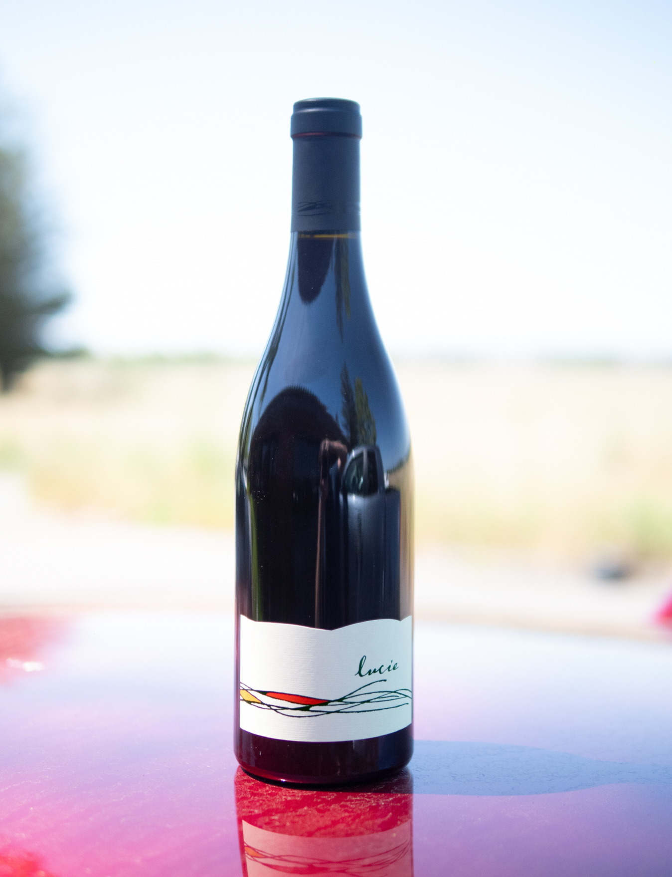 Bacio Divino 2016 'Lucie' Bacigalupi Vineyard Russian River Valley Pinot Noir 750ml Wine Bottle