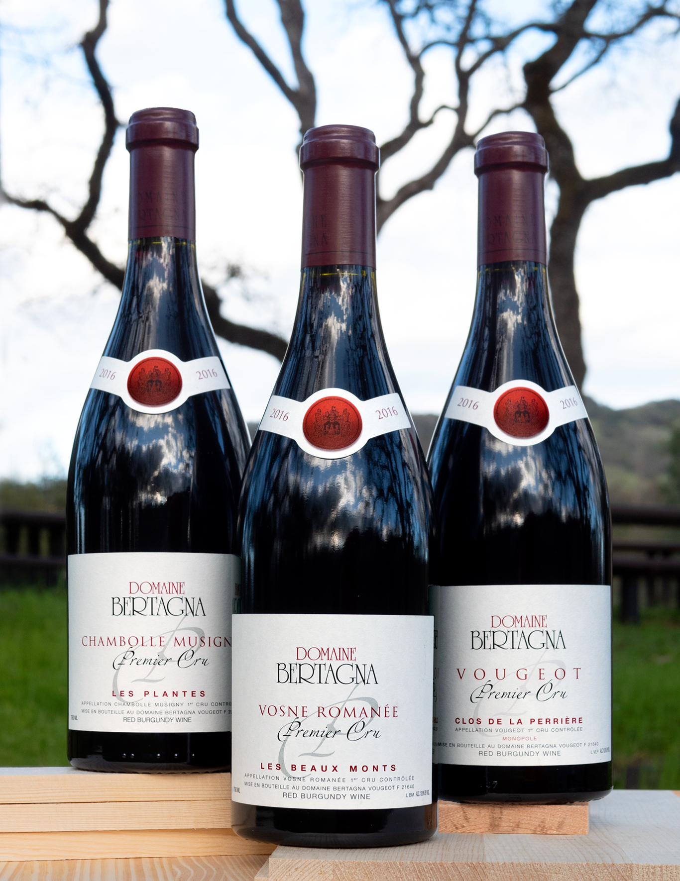 Domaine Bertagna 2016 'Côte de Nuits 1er Crus Picks' 3 Pack 750ml Wine Bottle