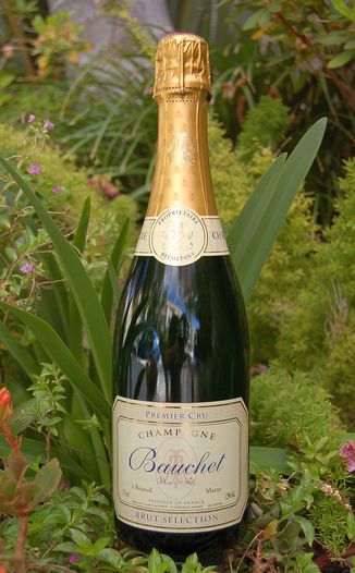 Bauchet Pere & Fils NV Brut Selection Premier Cru 750ml Wine Bottle