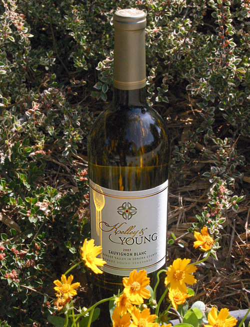 Kelley & Young Wines 2007 Sauvignon Blanc 750ml Wine Bottle