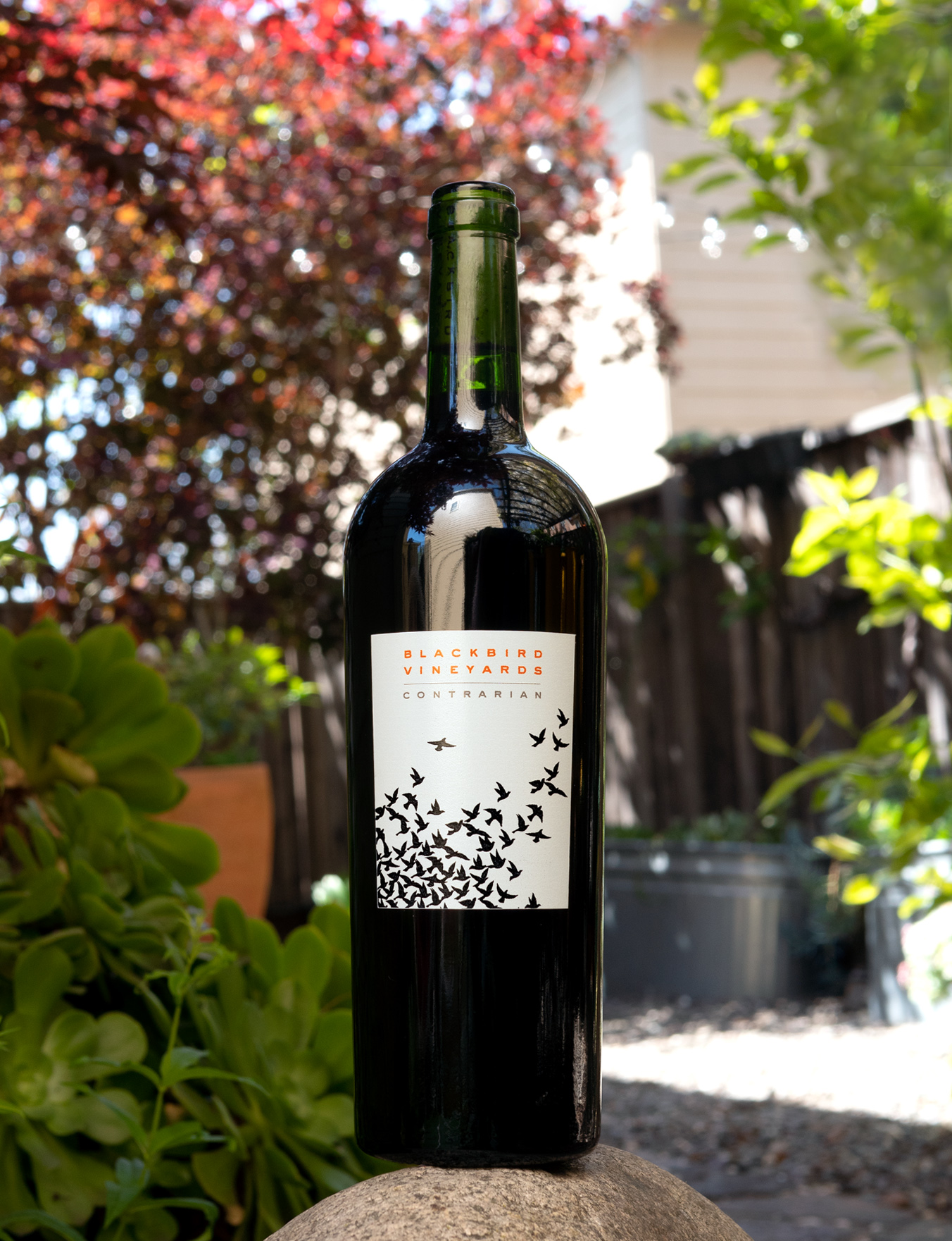 Blackbird Vineyards 2016 'Contrarian' Napa Valley Cabernet Blend 750ml Wine Bottle