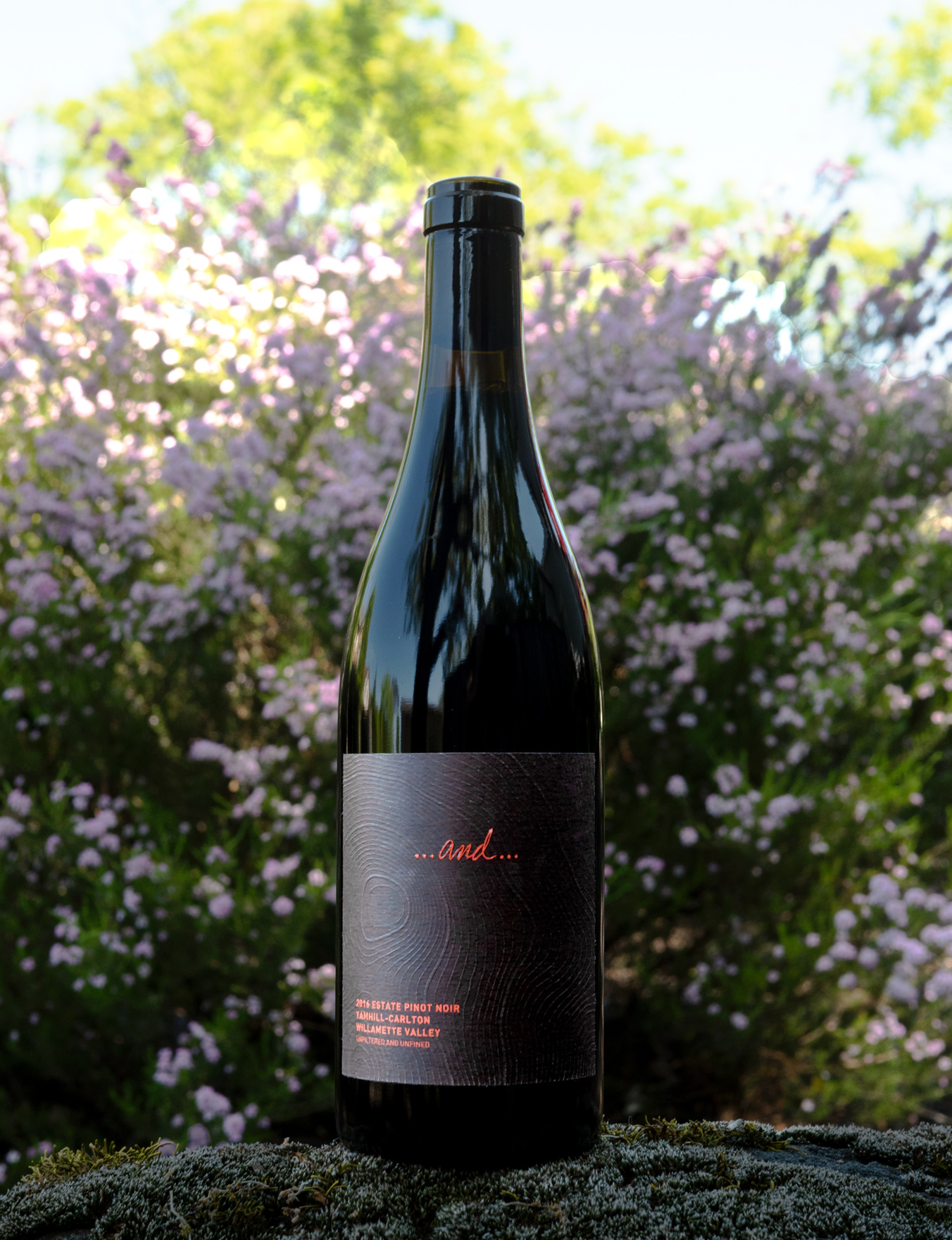 And Wine Company 2016 "...and..." Yamhill-Carlton Estate Pinot Noir 750ml Wine Bottle