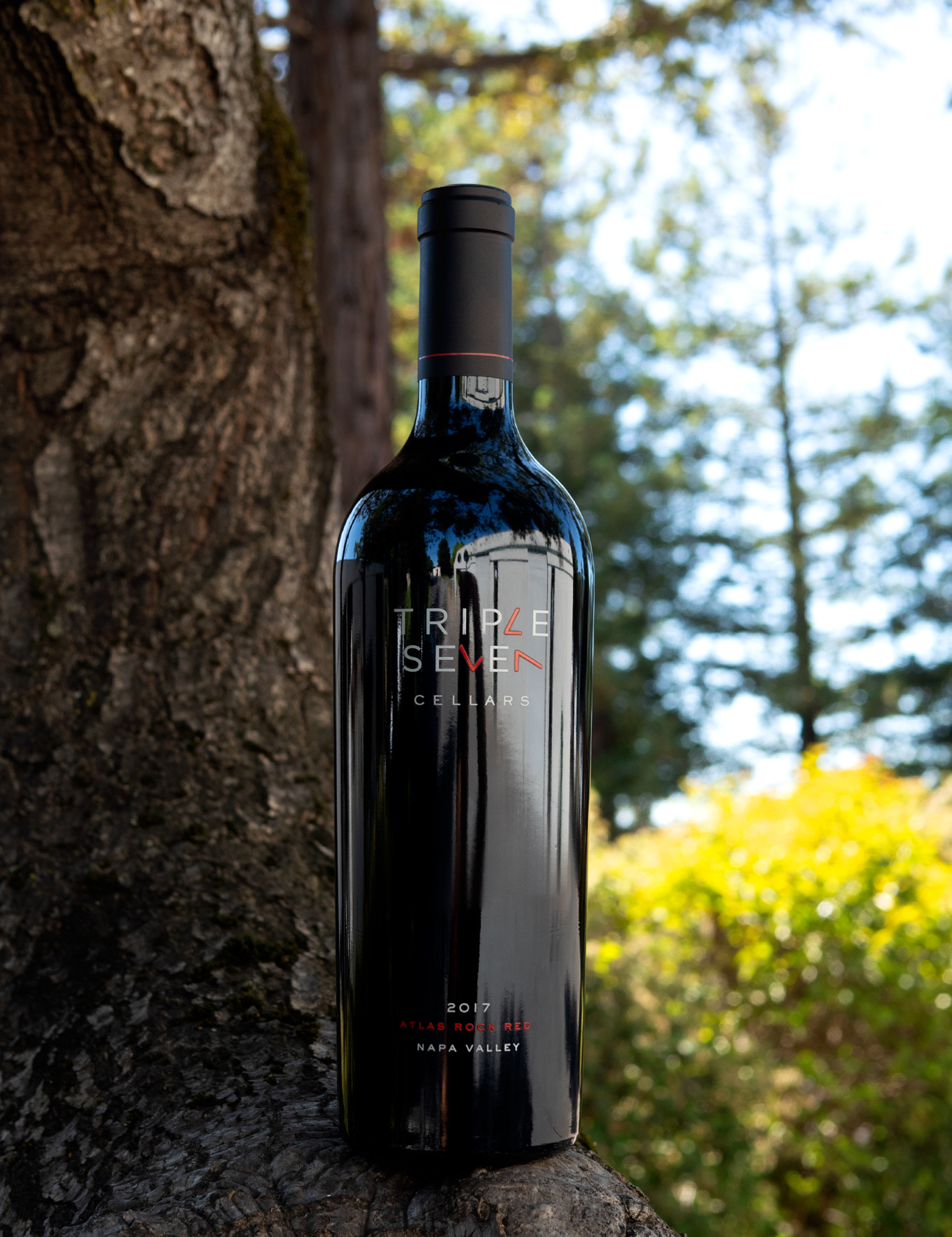 Triple Seven Cellars 2017 'Atlas Rock Red' Napa Valley 750ml Wine Bottle