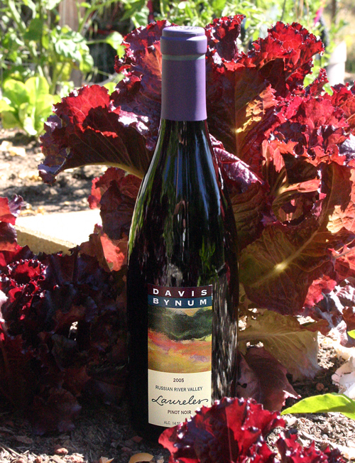 Davis Bynum Winery 2005 Russian River Valley Pinot Noir 750ml Wine Bottle