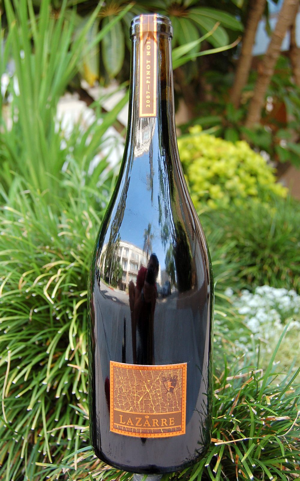 LaZarre Wines 2007 Central Coast Pinot Noir 750ml Wine Bottle