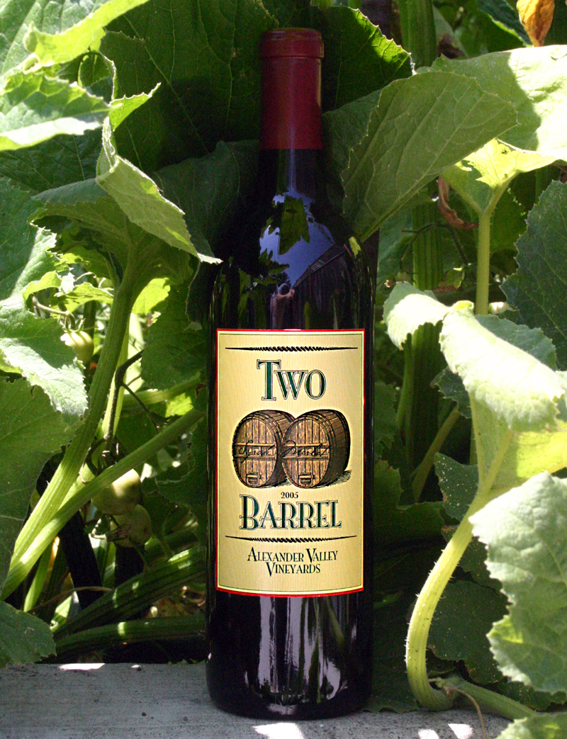 Alexander Valley Vineyards 2005 Two Barrel - Syrah Merlot 750ml Wine Bottle