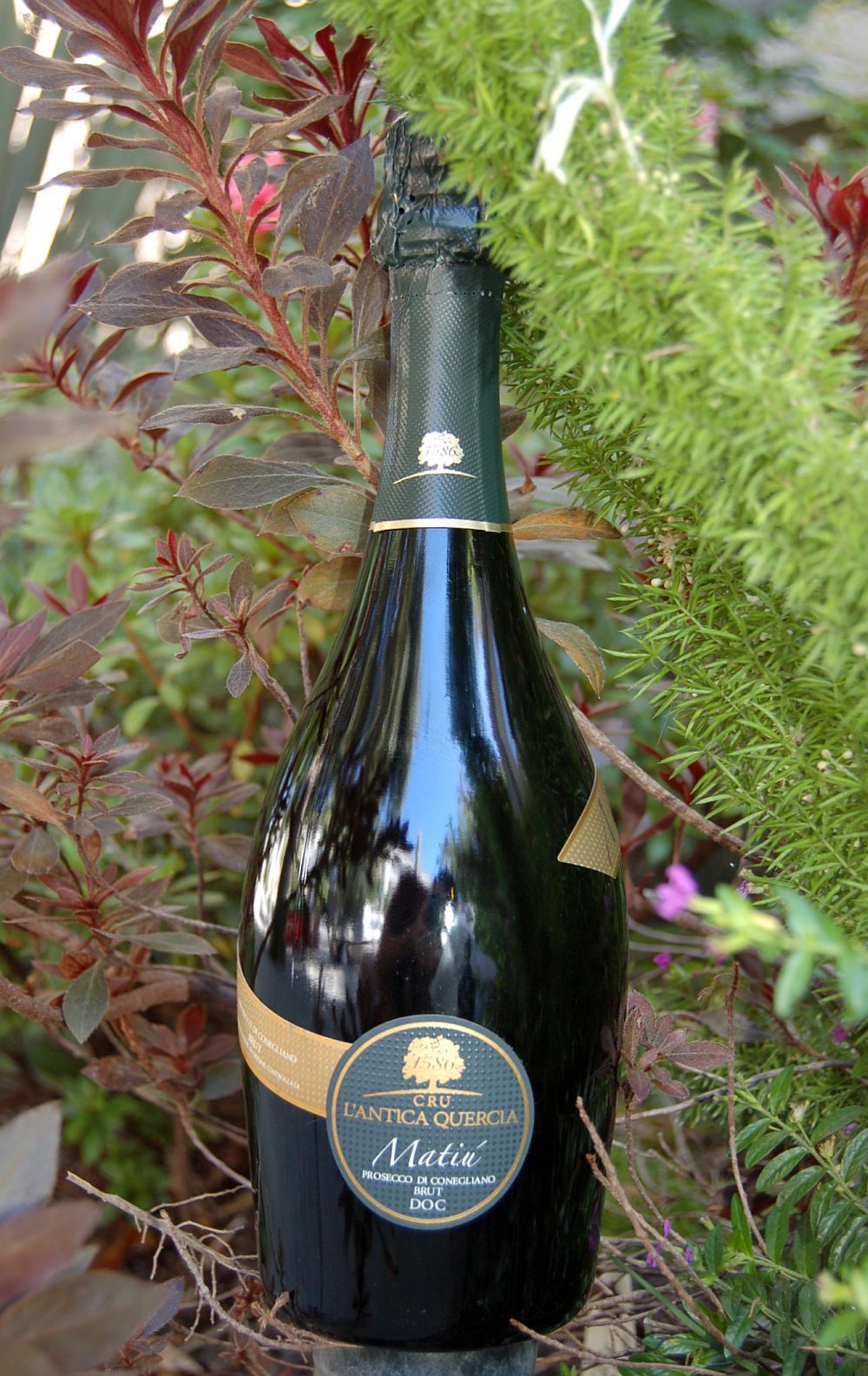 L'Antica Quercia 2007 Matiu Prosecco di Conegliano Brut DOC 750ml Wine Bottle