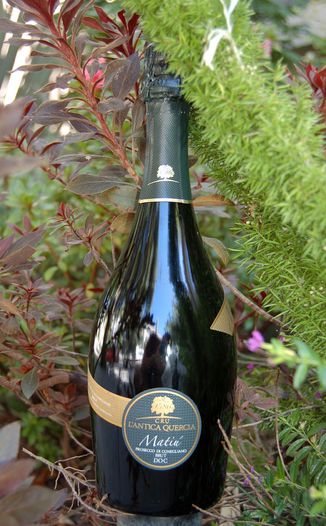 L'Antica Quercia 2007 Matiu Prosecco di Conegliano Brut DOC 750ml Wine Bottle