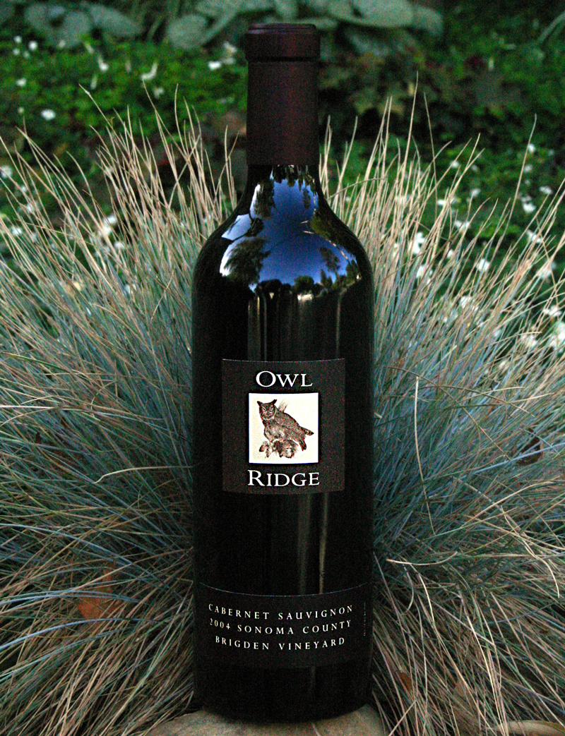 Owl Ridge Wines 2004 Sonoma County Brigden Vineyard Cabernet Sauvignon 750ml Wine Bottle