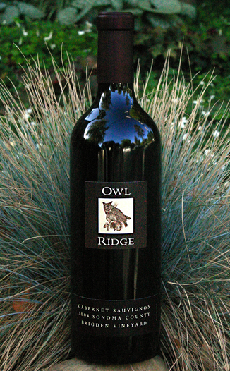 Owl Ridge Wines 2004 Sonoma County Brigden Vineyard Cabernet Sauvignon 750ml Wine Bottle