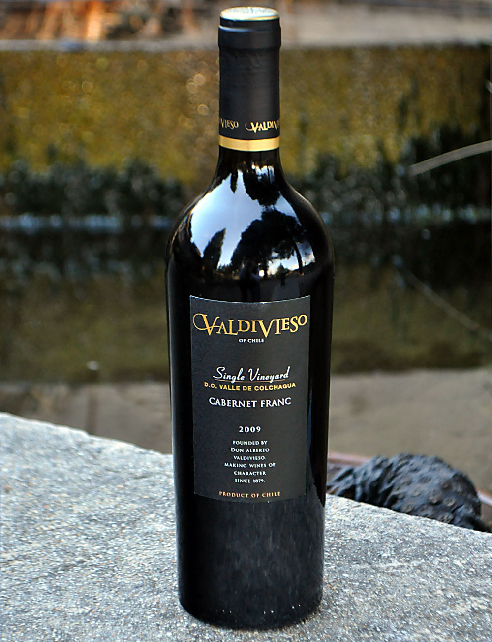 Viña Valdivieso 2009 Single Vineyard Reserva Cabernet Franc 750ml Wine Bottle