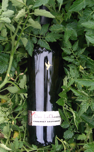 Clos LaChance 2005 Whitestone Cabernet Sauvignon 750ml Wine Bottle