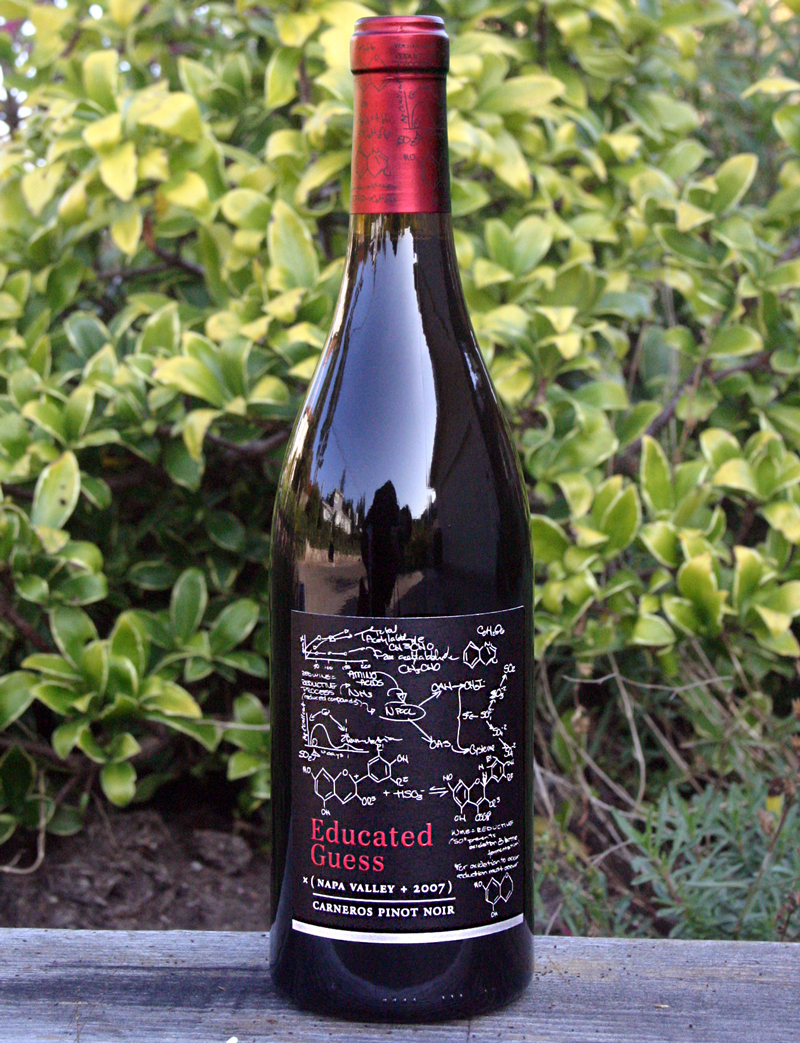 Roots Run Deep Winery 2007 Educated Guess Carneros Pinot Noir 750ml Wine Bottle