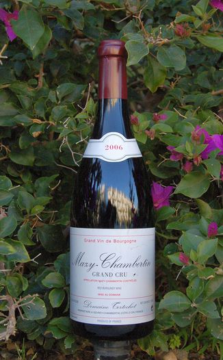 Domaine Tortochot 2006 Mazy-Chambertin Grand Cru 750ml Wine Bottle