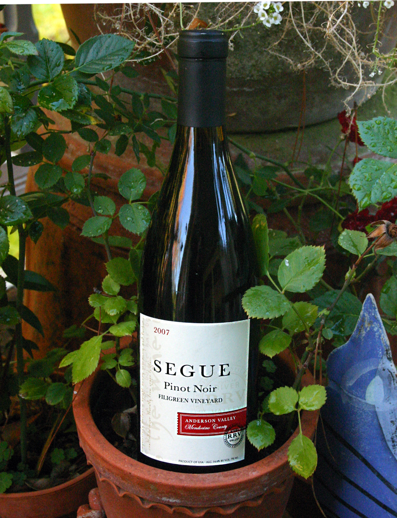 Segue Cellars 2007 Anderson Valley Pinot Noir 750ml Wine Bottle