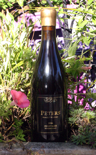 Peters Family Winery 2006 Sonoma Coast Pinot Noir 750ml Wine Bottle