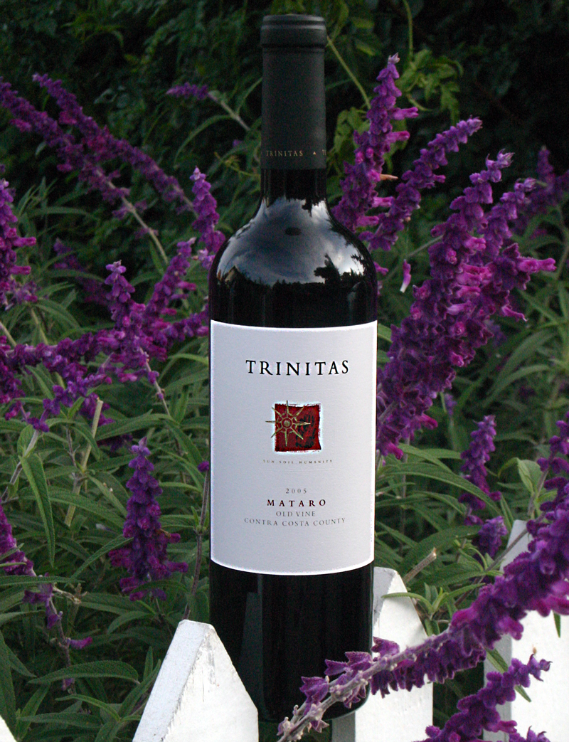 Trinitas 2005 Old Vine Mataro 750ml Wine Bottle
