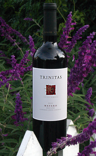 Trinitas 2005 Old Vine Mataro 750ml Wine Bottle
