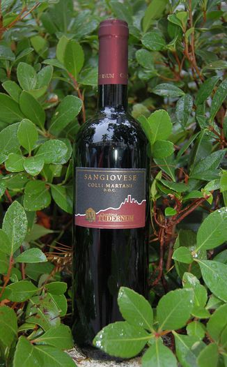 Cantina Tudernum 2005 Sangiovese dei Colli Martani 750ml Wine Bottle