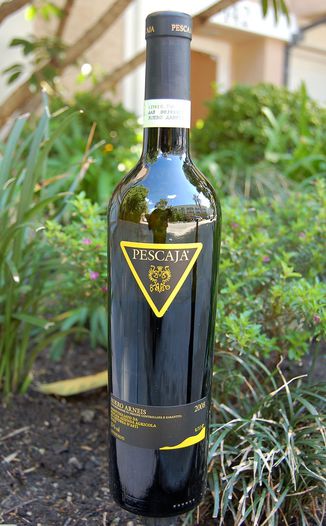 Az. Agr. Pescaja 2008 Roero Arneis DOCG 750ml Wine Bottle