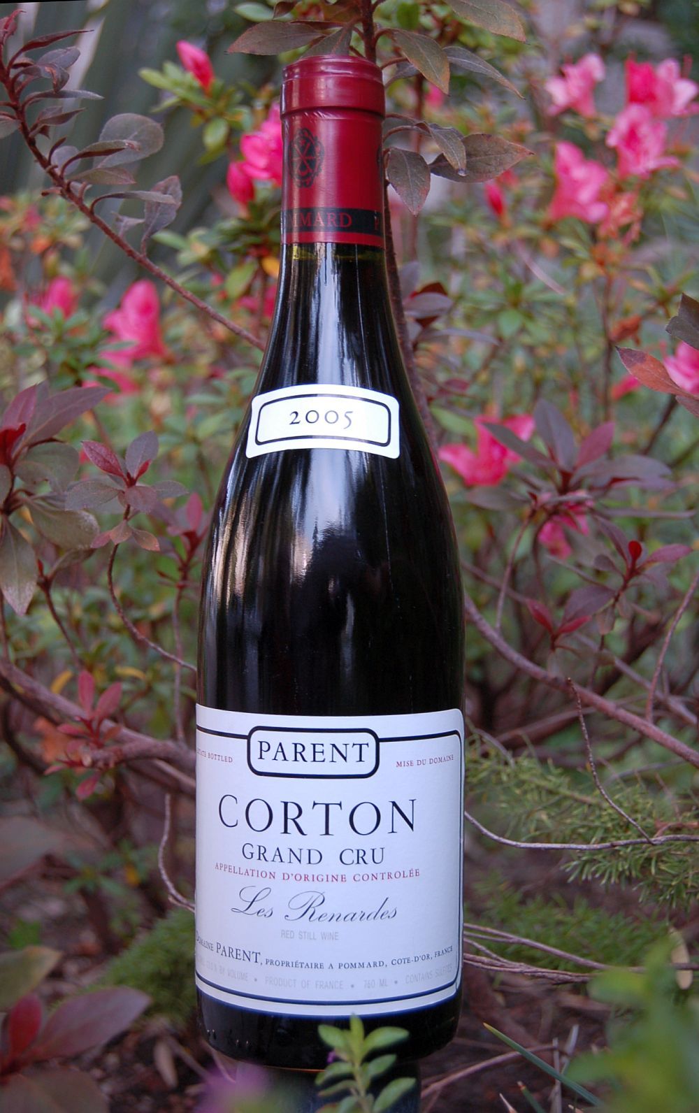 Domaine Parent 2005 'Les Renardes' Corton Grand Cru 750ml Wine Bottle