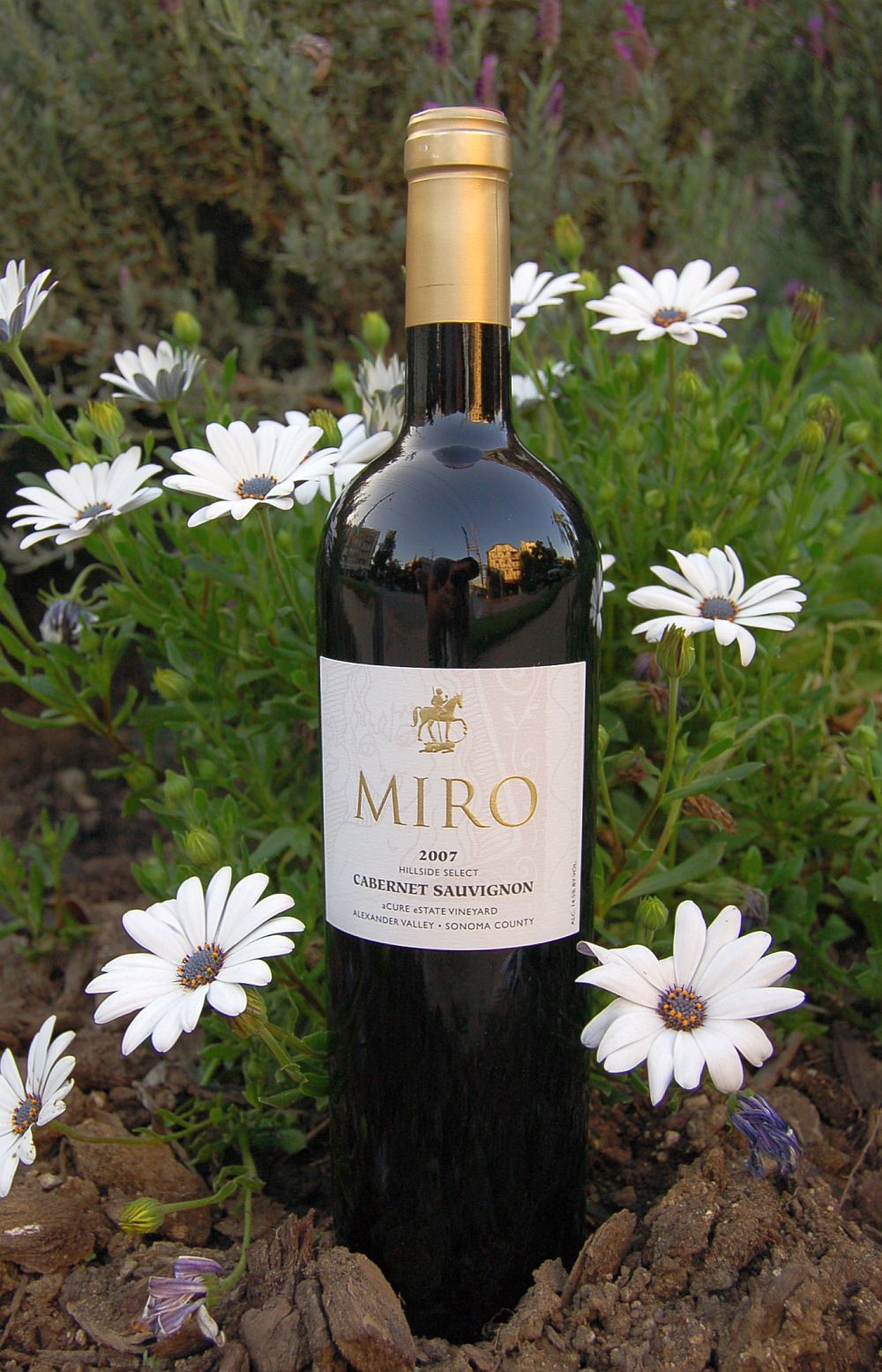Miro Cellars 2007 Hillside Select Cabernet Sauvignon 750ml Wine Bottle