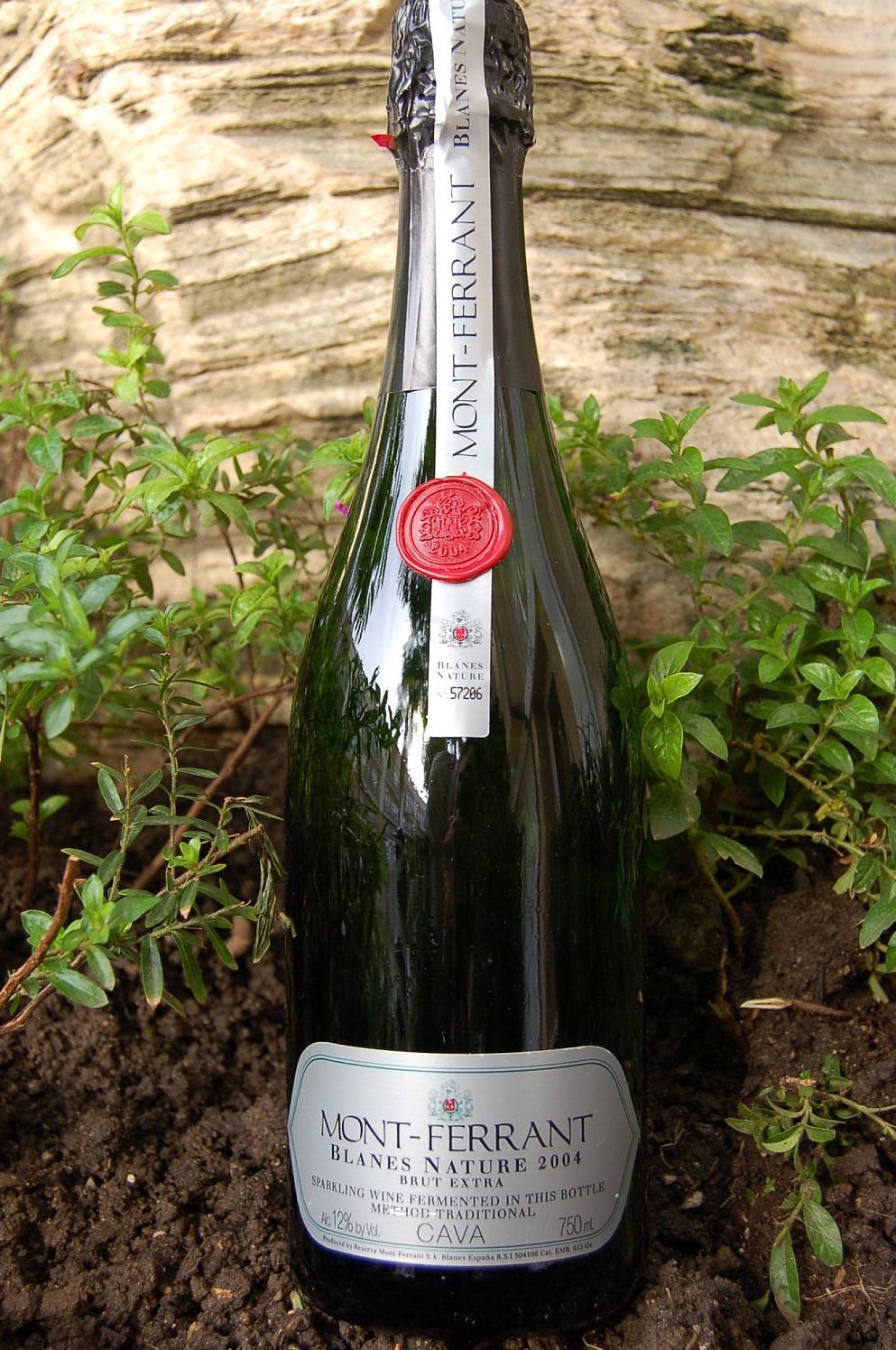 Reserva Mont-Ferrant 2004 Blanes Nature Brut Extra Cava 750ml Wine Bottle