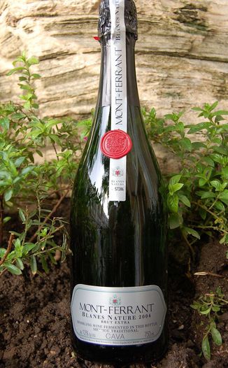 Reserva Mont-Ferrant 2004 Blanes Nature Brut Extra Cava 750ml Wine Bottle