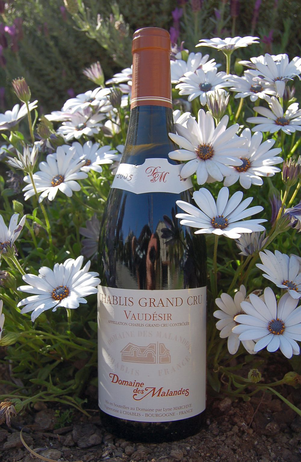 Domaine des Malandes 2005 Chablis Grand Cru 'Vaudésir' 750ml Wine Bottle