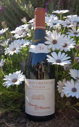 Domaine des Malandes 2005 Chablis Grand Cru 'Vaudésir' 750ml Wine Bottle