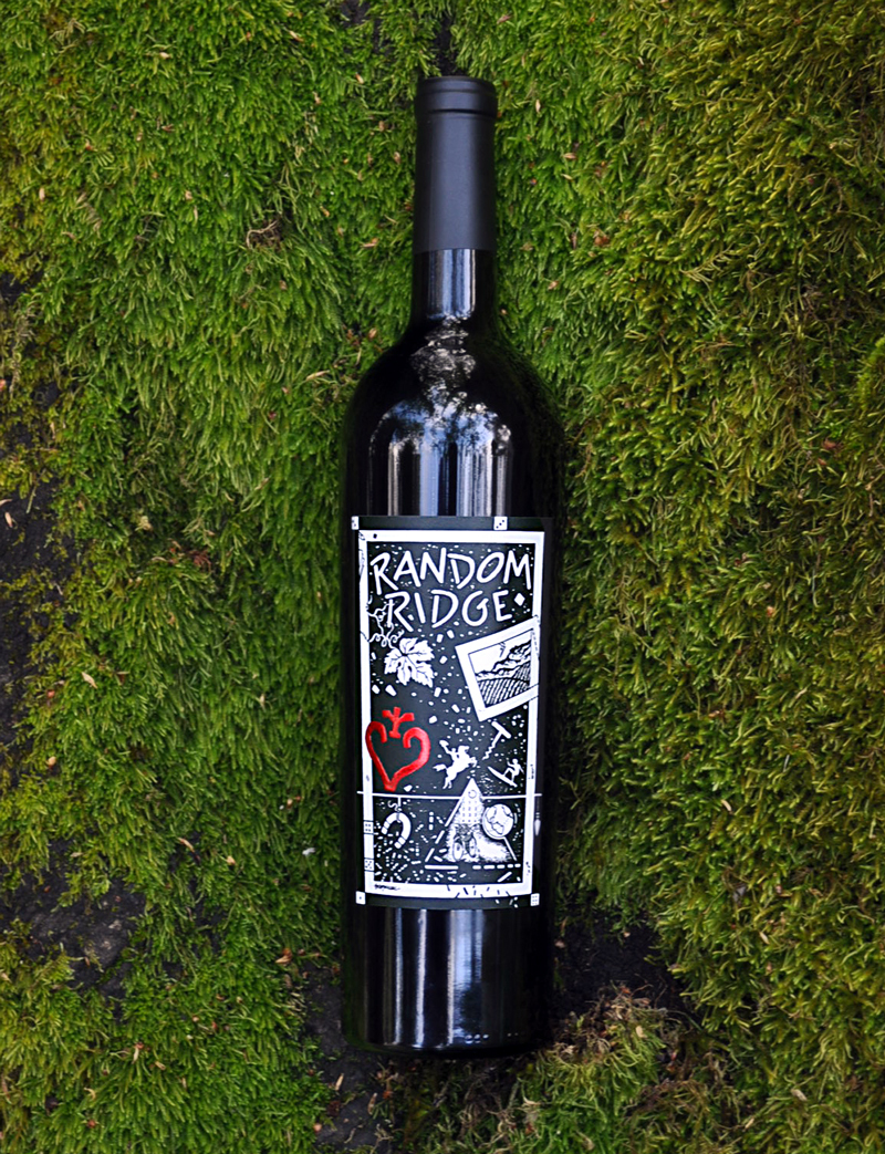 Random Ridge 2004 Cabernet Franc 750ml Wine Bottle
