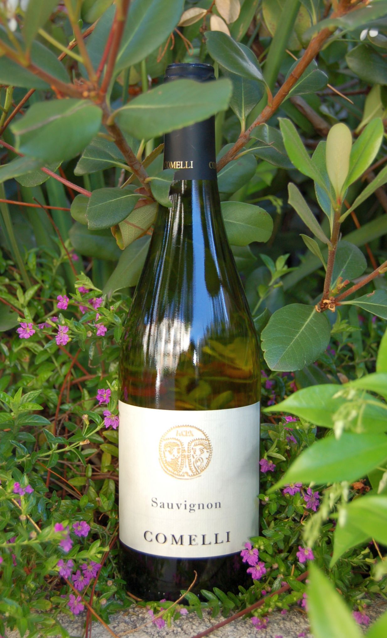 Comelli Paolino 2007 Sauvignon 750ml Wine Bottle