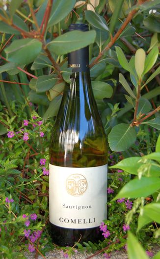 Comelli Paolino 2007 Sauvignon 750ml Wine Bottle