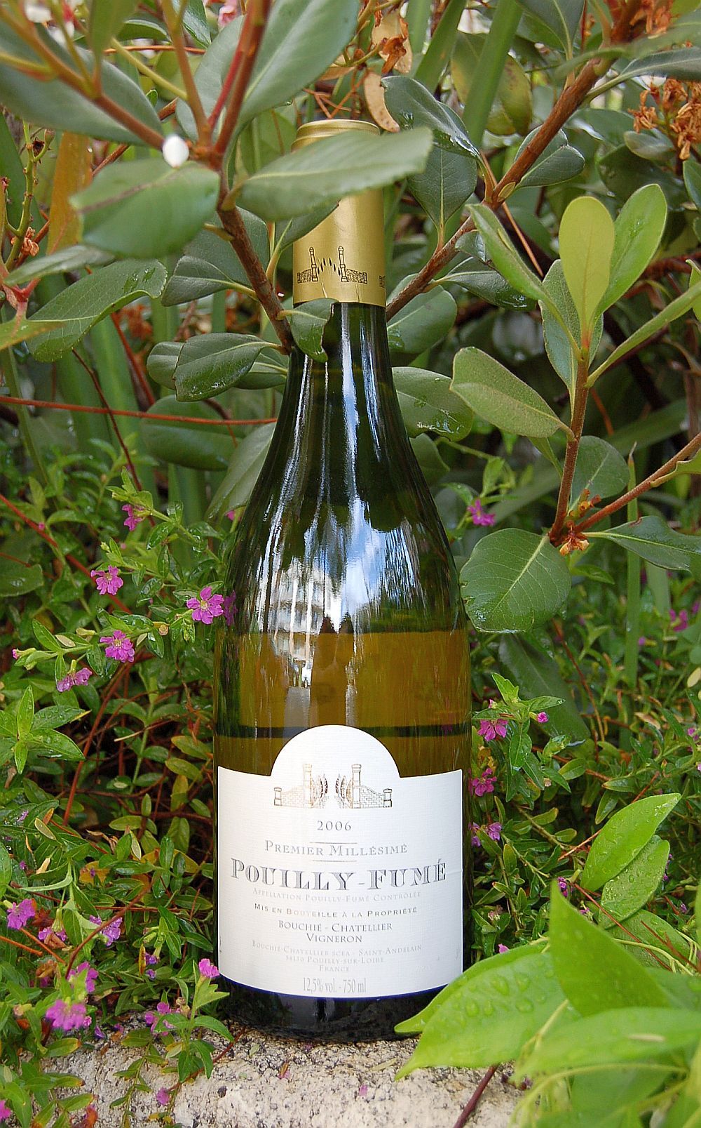 Domaine Bouchie-Chatellier 2006 Premiere Millésimé Pouilly Fume 750ml Wine Bottle