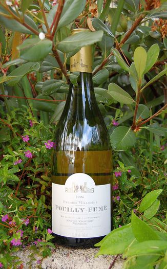 Domaine Bouchie-Chatellier 2006 Premiere Millésimé Pouilly Fume 750ml Wine Bottle