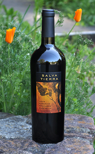 Renteria 2006 Salva Tierra Cabernet Sauvignon 750ml Wine Bottle