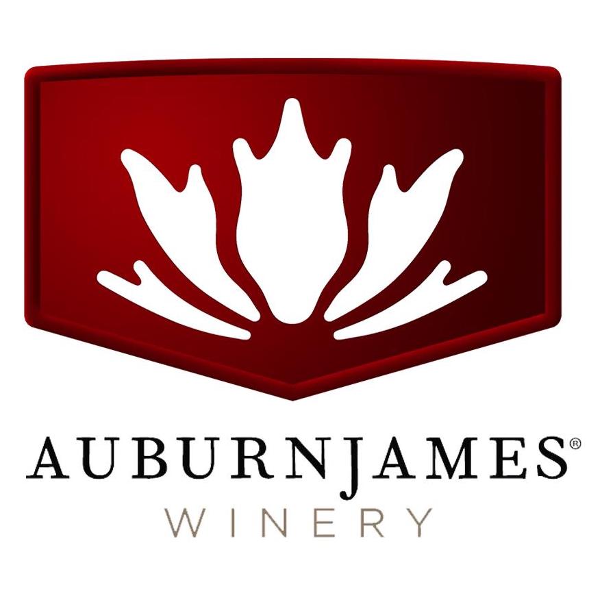2015 AuburnJames '1001' Napa Valley Proprietary Red