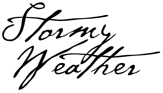 2017 Stormy Weather 'Northern Gale' Napa Valley Cabernet Sauvignon