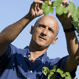 Domaine des Sénéchaux Winemaker Bernard Tranchecoste