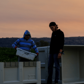 Revik Wine Co. Winemaker Philip Holbrook