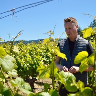 Zeitlos Winemaker Fabian Krause