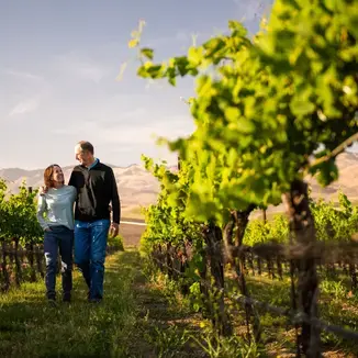 Stephen Ross Winemaker Stephen Ross Dooley