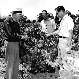 Concannon Vineyard Winemaker Brett Fikse