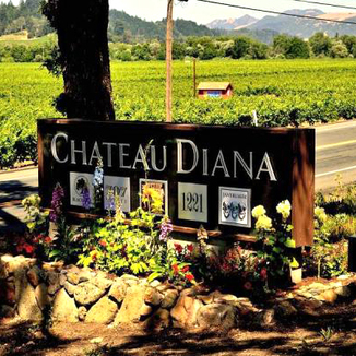 707 Estate Wines