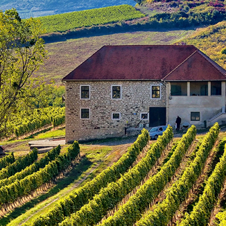 Chateau Pajzos